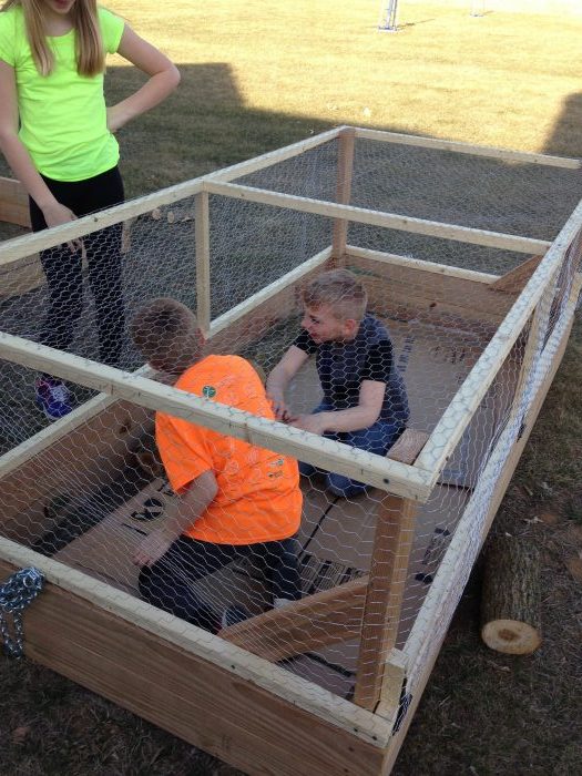 raised-beds